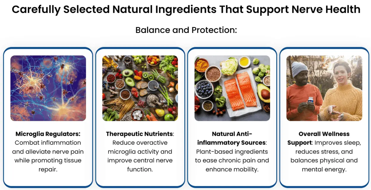 nerve alive ingredients
